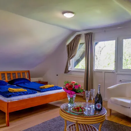 Lakeside Harmony Garden 別荘 バラトンフレド